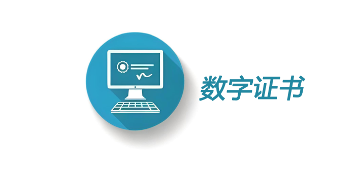 主流数字证书都有哪些格式？